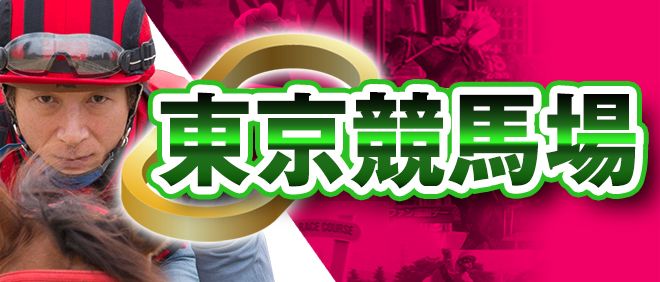 東京競馬場